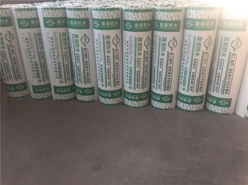 涤纶防水卷材特点 涤纶防水卷材 潍坊晟诺防水厂 查看