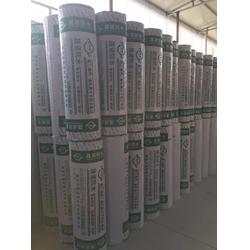 广州聚乙烯丙纶防水卷材,晟诺防水,聚乙烯丙纶防水卷材生产厂家