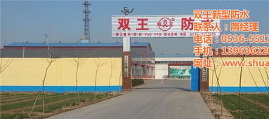 建筑速溶胶粉 双王防水 隔墙板专用建筑速溶胶粉