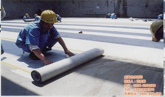 聚乙烯丙纶防水卷材制造 金海 在线咨询 阜新聚乙烯丙纶高清图片 高清大图