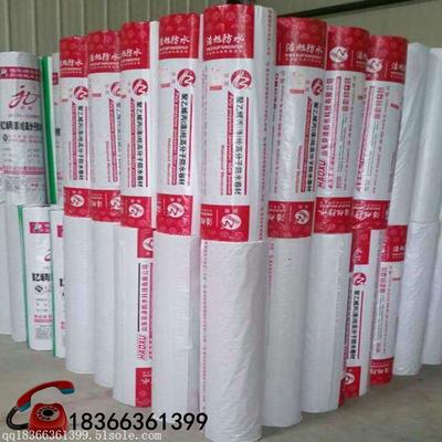 苏格仕SGS-5502金装无添加抗碱底漆 价格、厂家与防水防潮材料解析