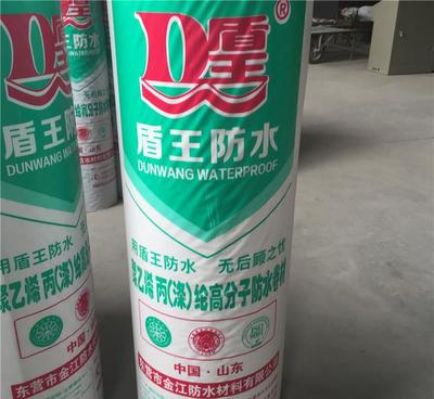 聚乙烯丙纶防水卷材 优质防水解决方案与潍坊产业带优势